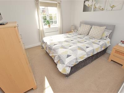 Picture 20